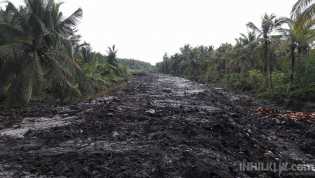 Desa Kuala Gaung Bangun 25 KM Tanggul Untuk Selamatkan Perkebunan Masyarakat