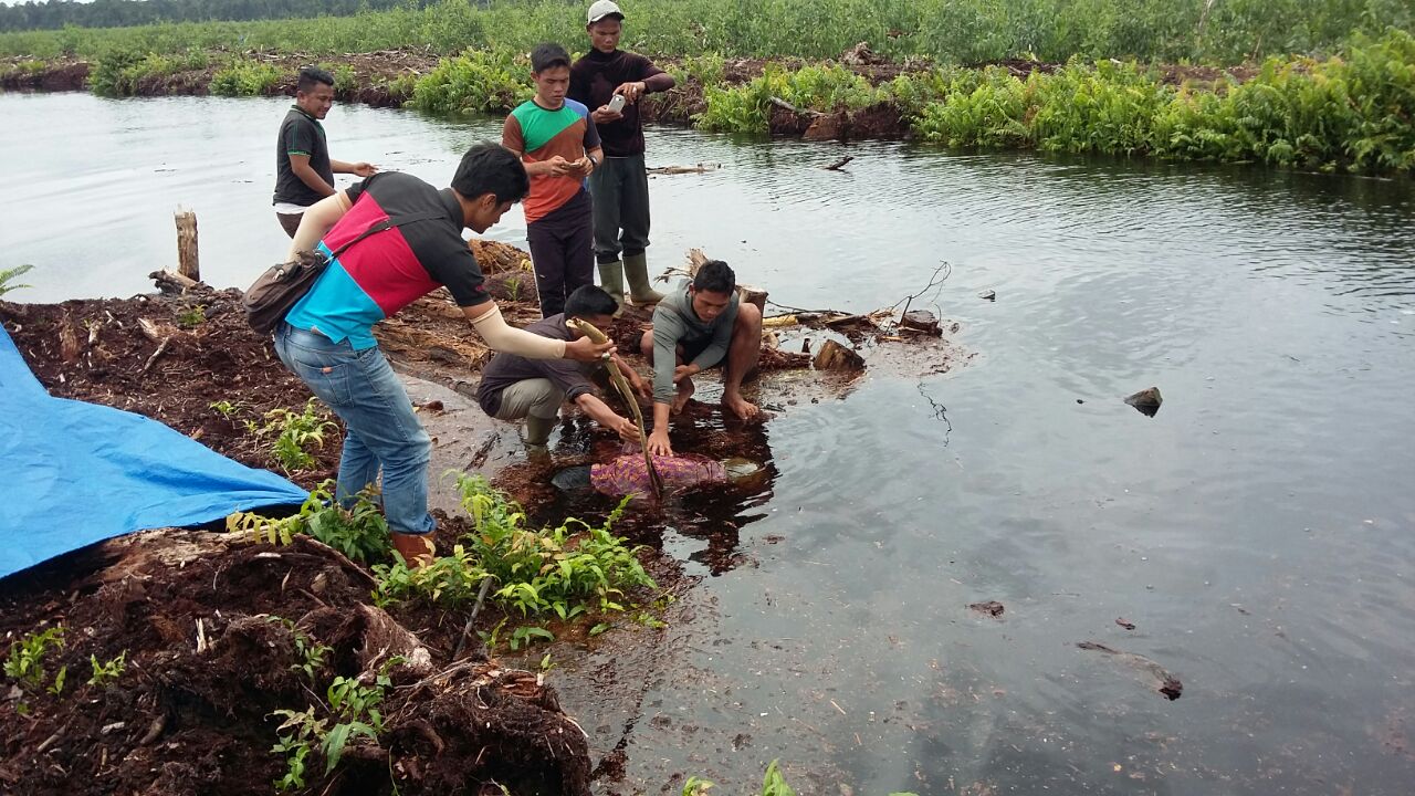 Karyawan Kontraktor di Inhil Ditemukan Terapung Tak Bernyawa