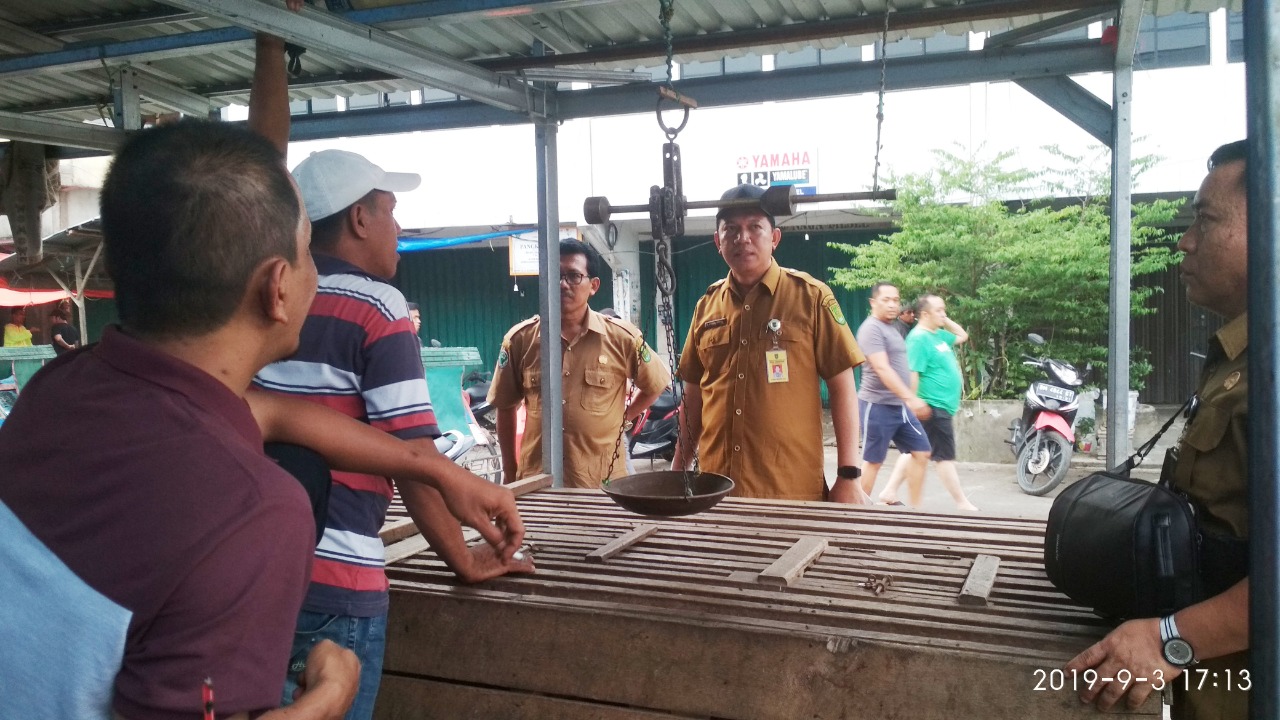 Serangan Lalat Buat Pedagang Resah, Diskes Inhil Bertindak