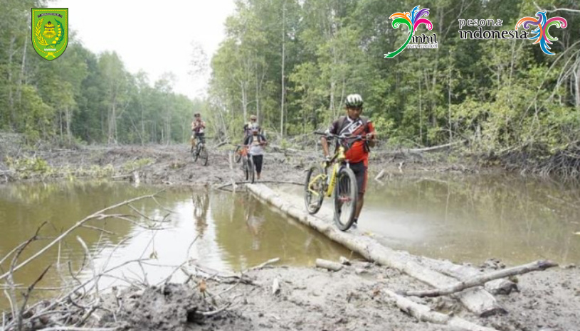 Wisata Rawa Gambut di Pulau Cawan yang Menarik