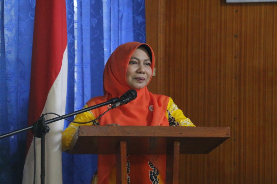 Ketua TP Posyandu Inhil Sosialisasi 6 Bidang SPM di Kecamatan Batang Tuaka