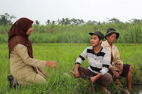 Inhil Masih Kurang Tenaga Penyuluh