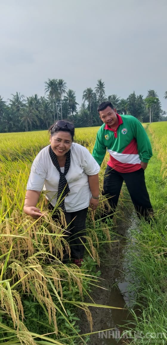 Hadapi Virus Corona, Persedian Pangan di Kabupaten Sergai Masih Aman