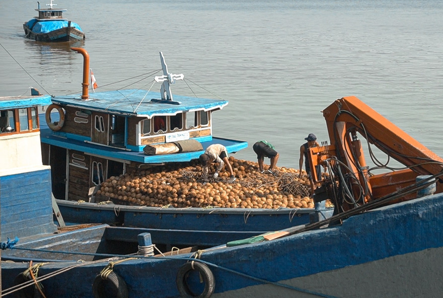 Kelangkaan Kelapa Berimbas Turunnya Produksi dan Pengurangan Tenaga Kerja di PT RSUP