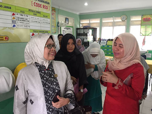 Ketua DPRD Riau, Septina Jemput Pasien RSJ Tampan Asal Tembilahan