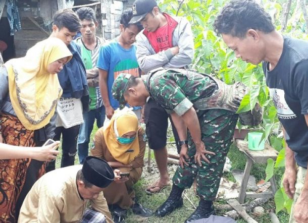 Bayi Kembar di Bulukumba Meninggal Dunia Akibat Gizi Buruk, Ayah Minggat dari Rumah