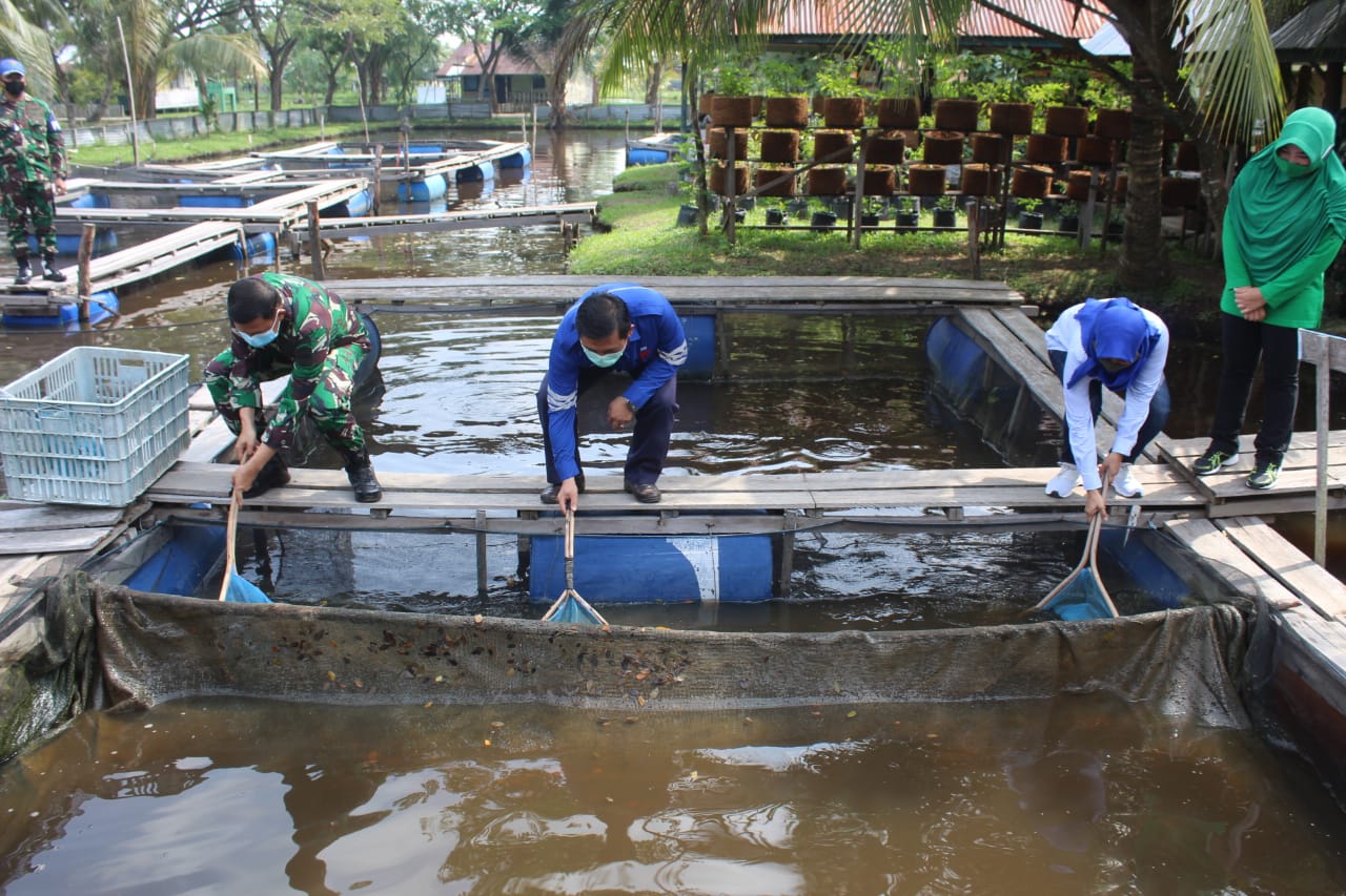 Kodim 0314 Inhil dan PLTU Tembilahan Ciptakan Budidaya Ikan Lele