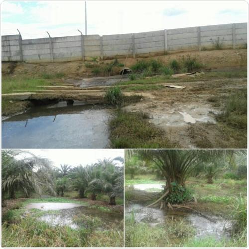 Limba Air Rebusan PKS PCR Diduga Rusak Kolam Warga