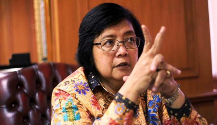 KLHK Bakal Tindak Tegas Perambah dan Pembeking TNTN