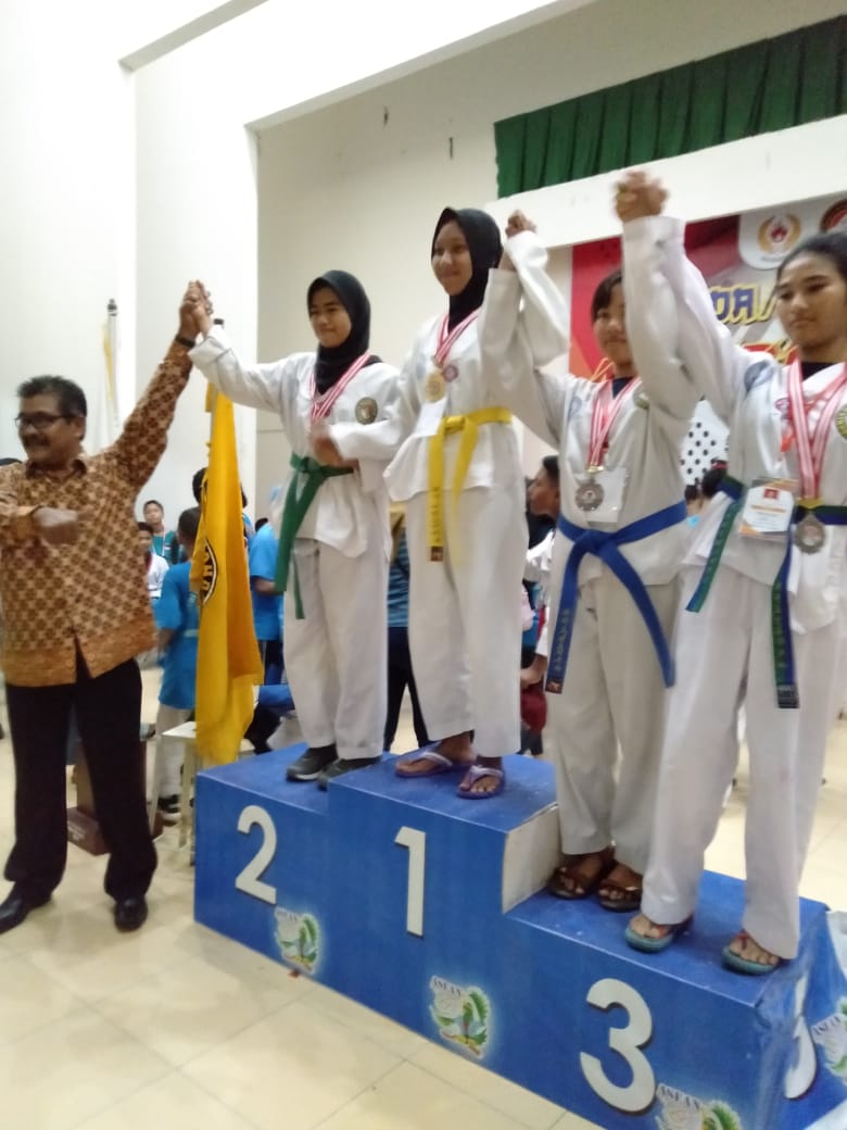 Masuk 4 Besar, Pengkab TI Inhil Sabet 5 Medali Emas di Agribusiness Taekwondo Cup 2018