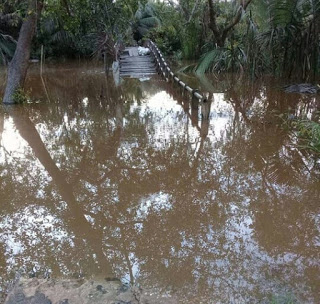 Jembatan Tenggelam, Warga Desa Sungai Ambat, Inhil Minta Pemerintah Cepat Tanggap