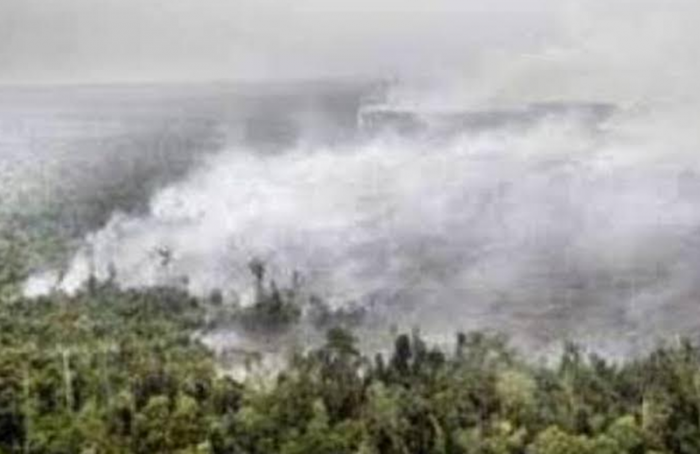 Waspada, Hotspot Kembali Meningkat Drastis