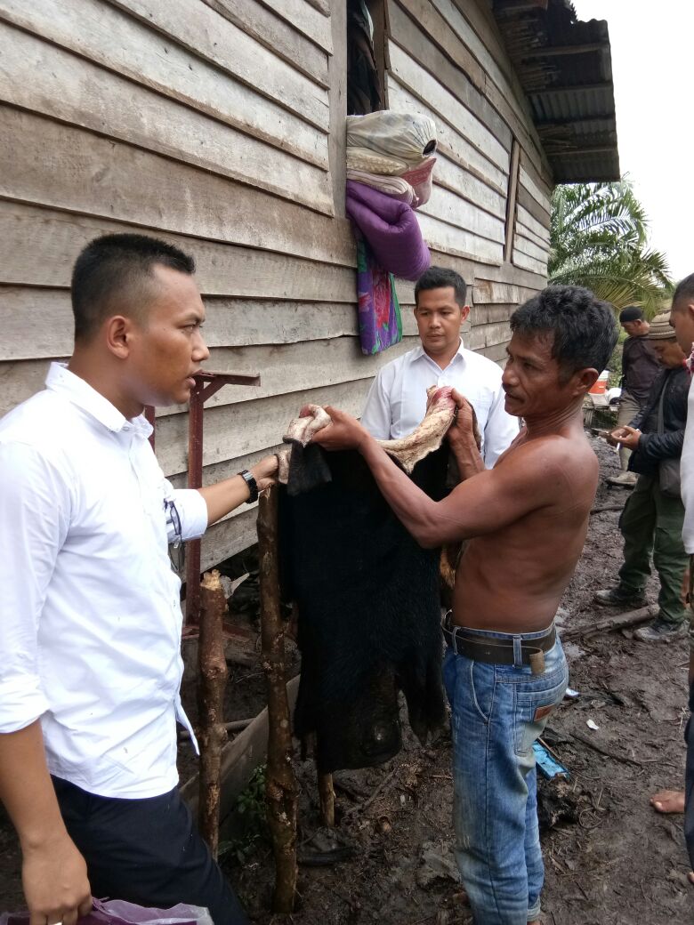Pembunuh 4 Ekor Beruang Madu Ditangkap