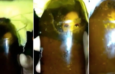 Video Tuyul Ditangkap, Lihat Deh Penampakannya, Serem...