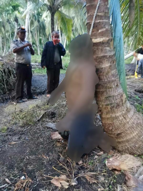 Pamit Pulang Untuk Menemui Orang Tua, Seorang Pemuda di Inhil Ditemukan Teas Tergantung dan Sudah Membusuk