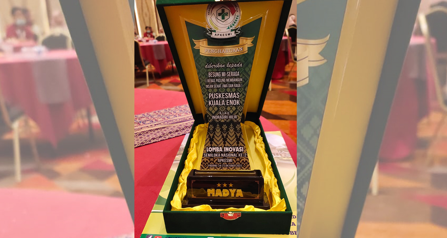 Puskesmas Kuala Enok Terima Penghargaan Tingkat Nasional