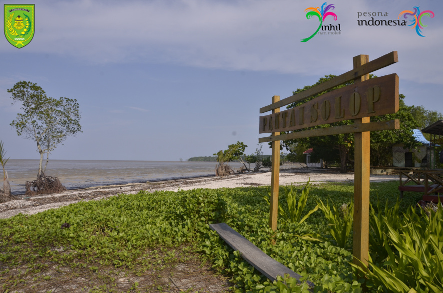 Pantai Solop Kaya Flora dan Fauna
