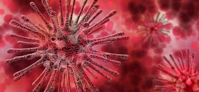Lakukan Langkah Ini Jika Merasa Terinfeksi Virus Corona