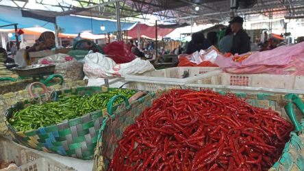 Sebagian Bahan Pokok Mulai Turun, Ayam Potong Meroket