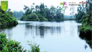 Pulau Basu dan Burung Imigran