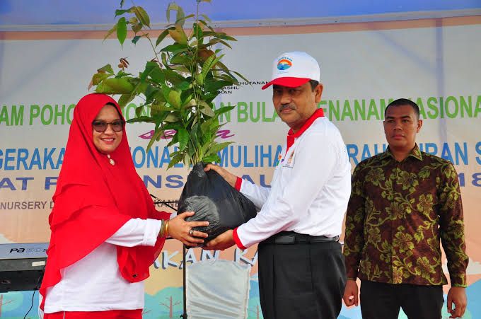 Peduli Lingkungan, Pemprov Rancang Riau Hijau