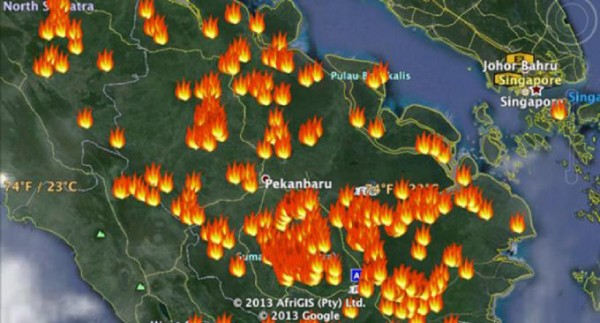 267 Hotspot Kepung Sumatera, di Riau Ada 61 Titik