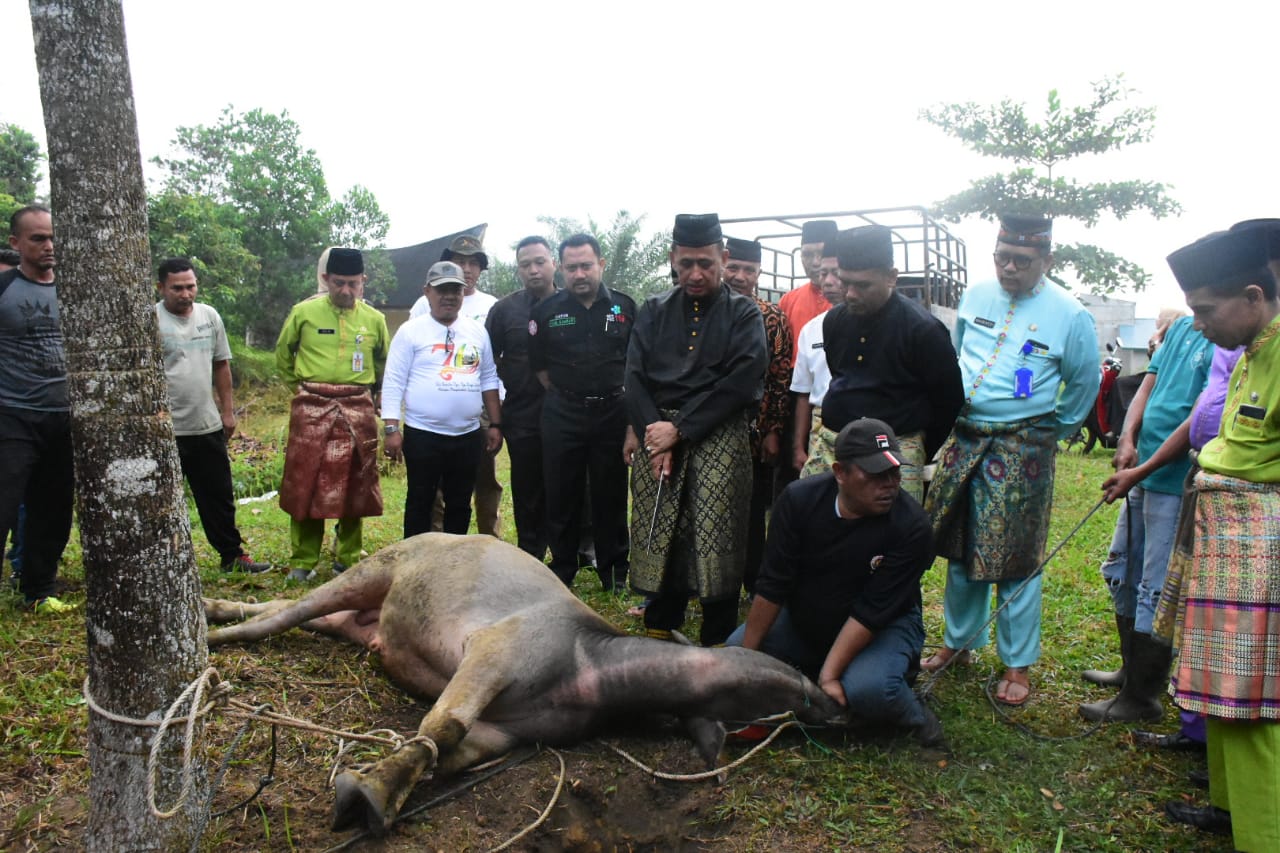 Menjelang Penobatan Payung Panji Adat, Panitia lakukan Potong Kerbau