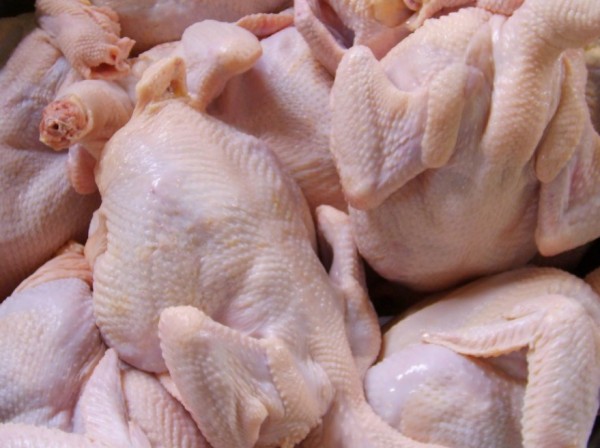 Awal Pekan, Berikut Harga Daging Ayam