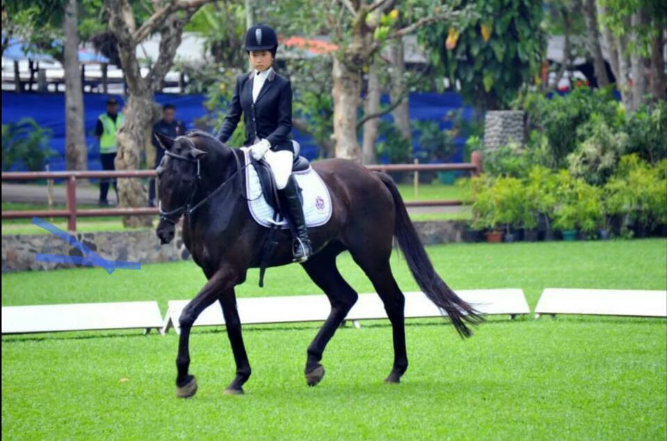 Pordasi Pekanbaru dan Polda Riau Gelar Iven Berkuda Show Jumping