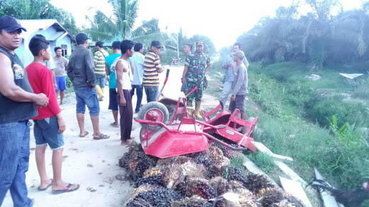 Dua Kelompok Warga Nyaris Bentrok Gara-Gara Sengketa Lahan di Kemuning, Inhil