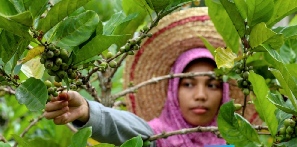 NTP Riau Alami Kenaikan dan Terbesar ke-4 di Sumatera