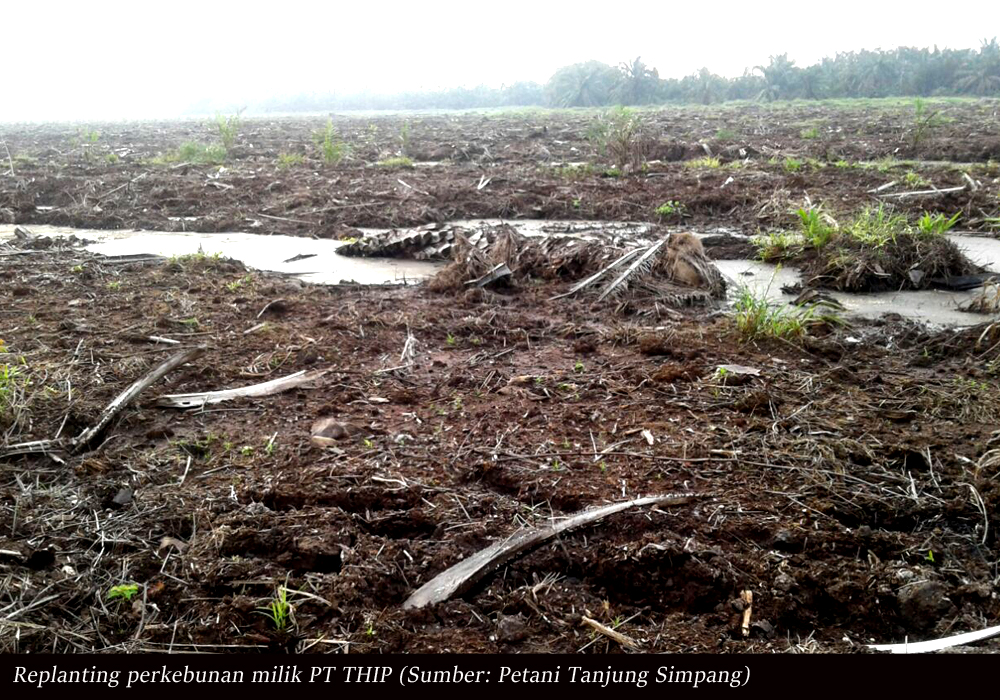13 Poin Tuntutan Masyarakat Desa Tanjung Simpang, Mulai dari Ganti Rugi Hingga Menijau Ulang HGU Milik PT THIP