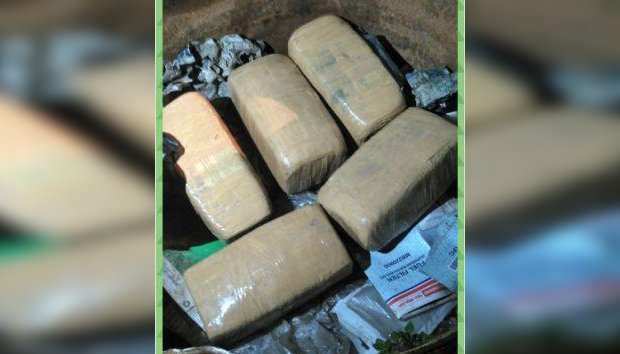 5 Kilogram Ganja Ditemukan Warga Pekanbaru di Tong Sampah