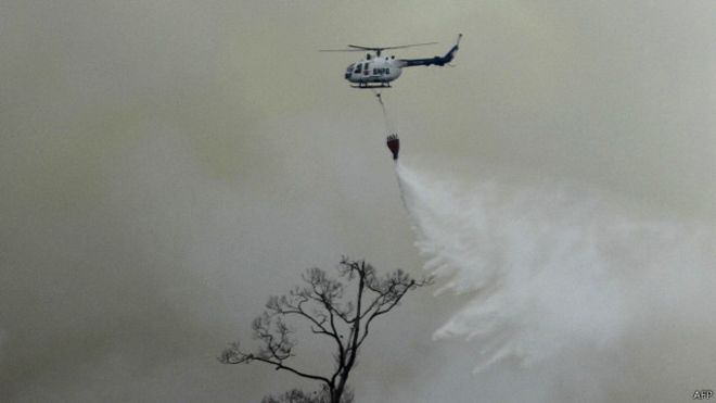 Satgas Berhasil Padamkan 20 hektare Lahan Gambut Yang Terbakar di Inhil
