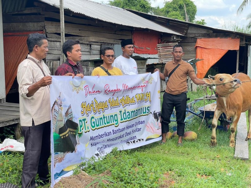 PT Guntung Idamannusa Serahkan Bantuan 14 Ekor Sapi Qurban Kepada 9 Desa Binaan dan Karyawan
