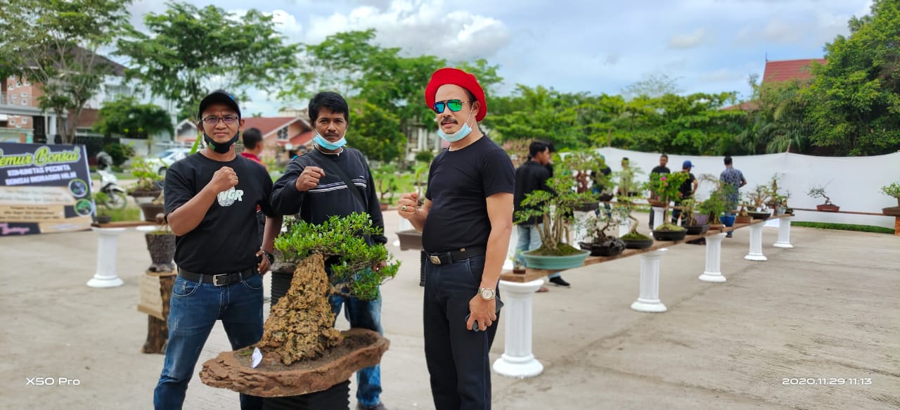 KPBI Pamerkan 50 Jenis Bonsai