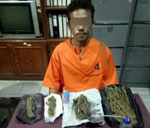 Polisi Ringkus Pengedar Ganja di Inhil Saat Akan Bertransaksi