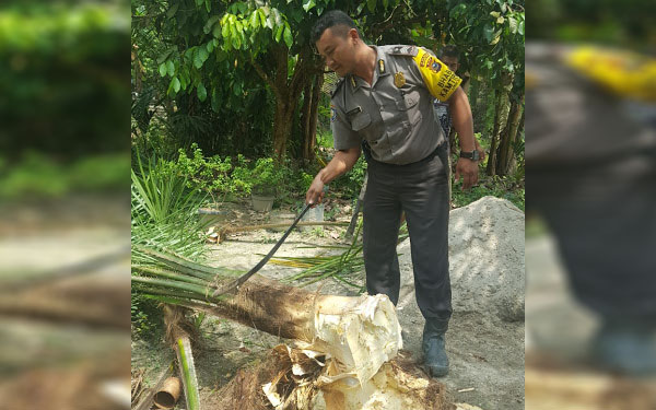 Bhabinkamtibmas di Inhil Ini Ajarkan Ibu - Ibu PKK Cara Membuat Dodol Dari Umbut Sawit