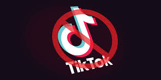 Dianggap Vulgar dan Tak Bermoral, Pakistan Blokir TikTok