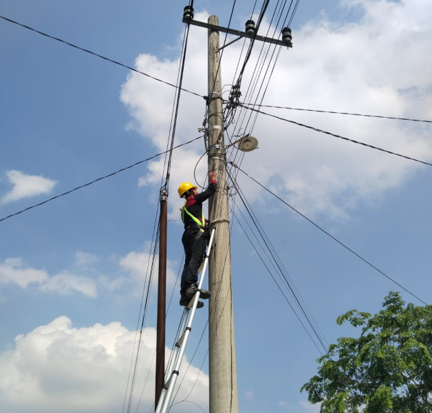 PLN Icon Plus Sumbagteng Rapikan Jaringan Kabel FO di Singingi Hilir