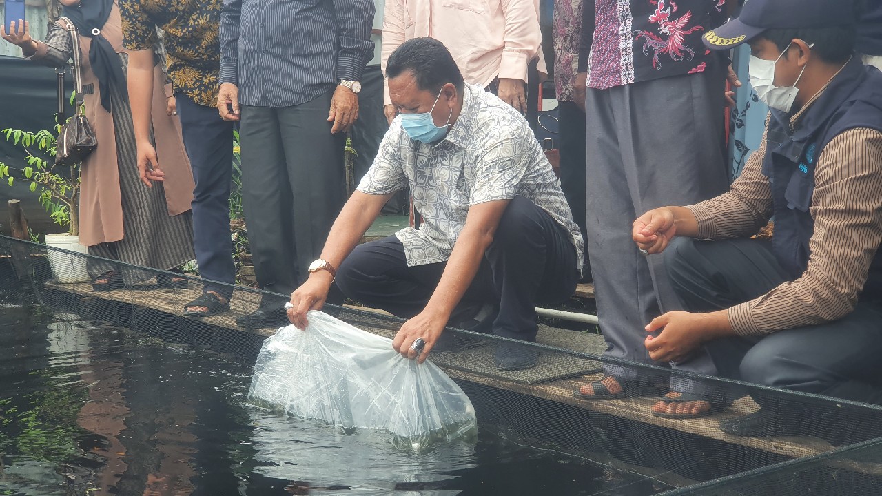 Tinjau Kegiatan Padat Karya di Tembilahan Kota, Kadisnakertrans Riau Lepas Bibit Ikan Nila