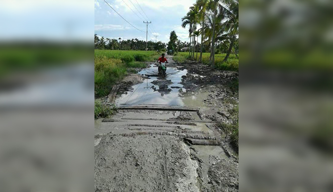 Bupati Inhil Berharap Jalan Kotabaru-Pulau Kijang Mulus Untuk Menyambut MTQ Ke-47