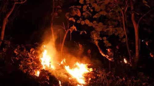 Kisah Pejuang Pemadam Kebakaran Hutan dan Lahan: Berjibaku dengan Api, Tidur di Hutan, dan Melawan Suhu Panas