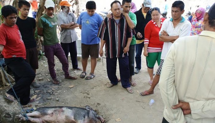 Supaya Dikira 'Babi Ngepet', Suprapto Lepas Baju dan Celana Saat Terpergok Mencuri