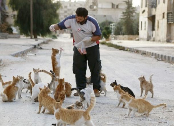 Kena Percikan Minuman Kucing, WNI di Malaysia Tusuk Rekannya Asal Bangladesh hingga Tewas