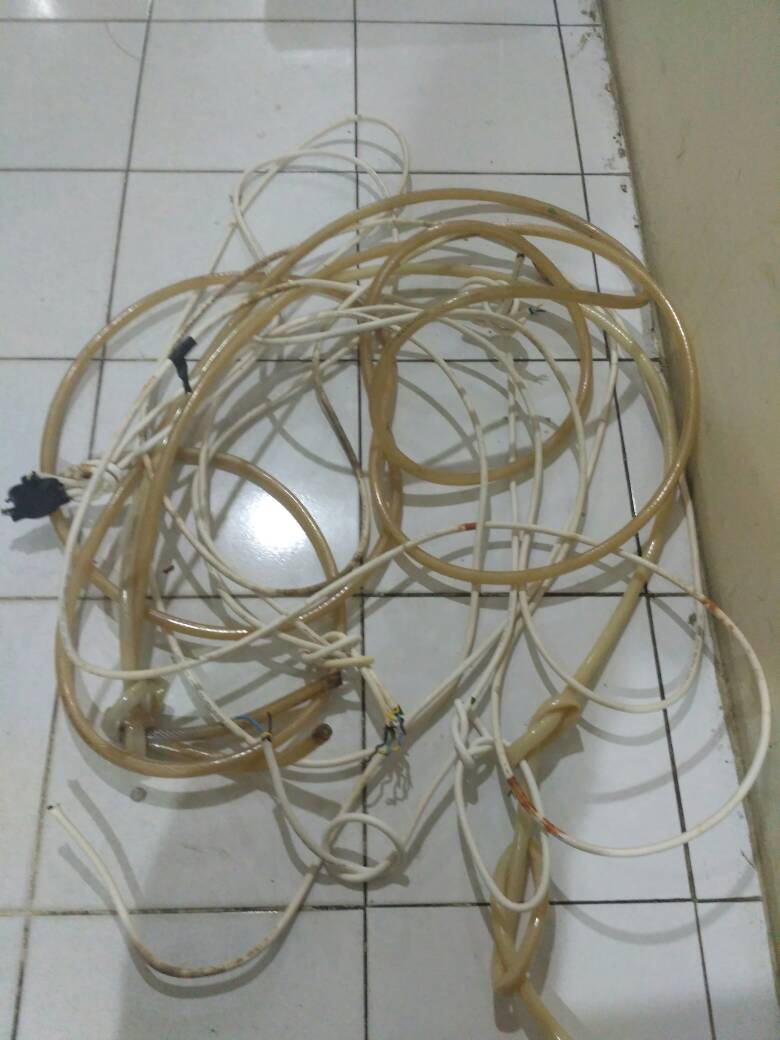 Pencuri Sarang Burung Walet Terjun Bebas dari Lantai Empat