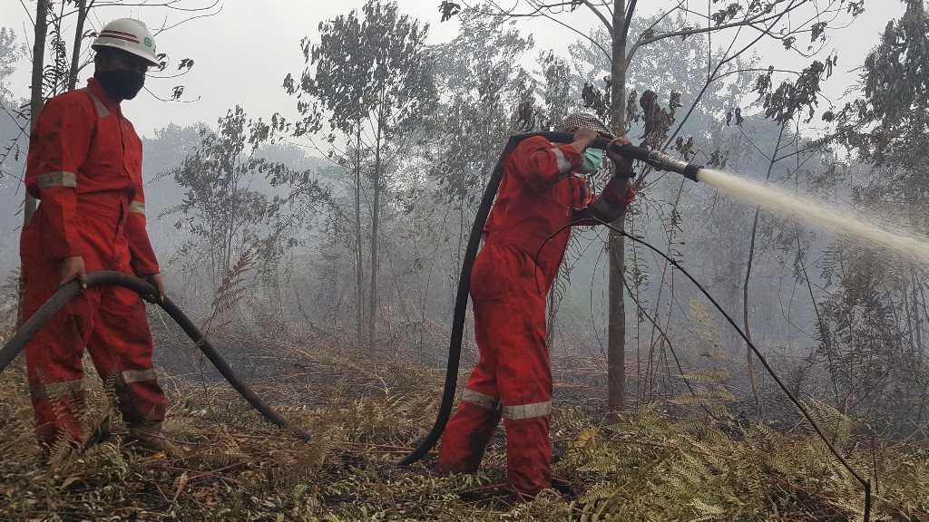 Yusuf Said: Jika Terbukti, Tidak Tegas Perusahaan yang Lahannya Terbakar