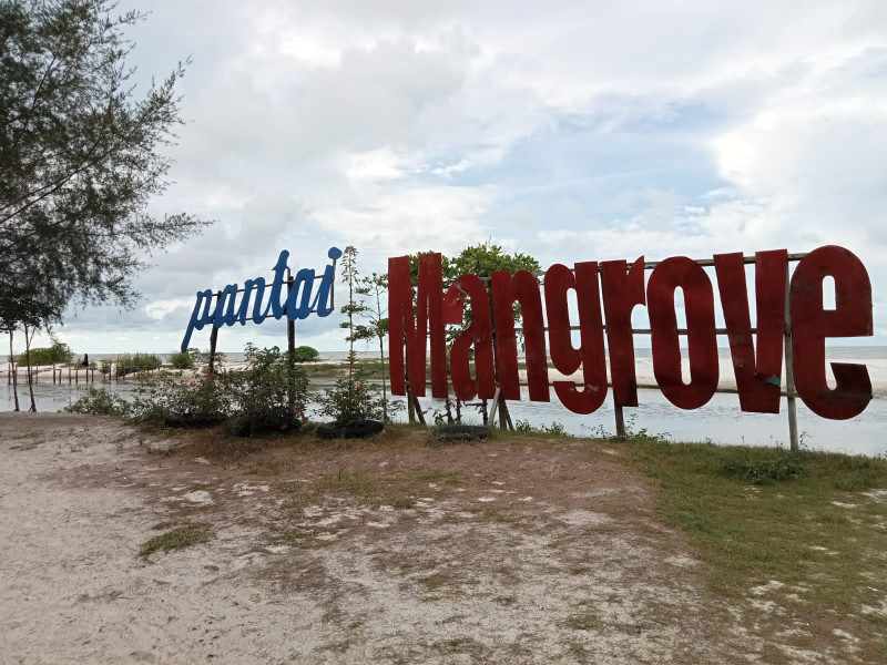 Pantai Mangrove Serdang Bedagai Jadi Wisata Edukasi dan Sajikan Keindahan Alam