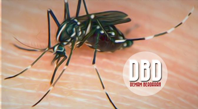Demam Berdarah di Pekanbaru Tembus 260 Kasus