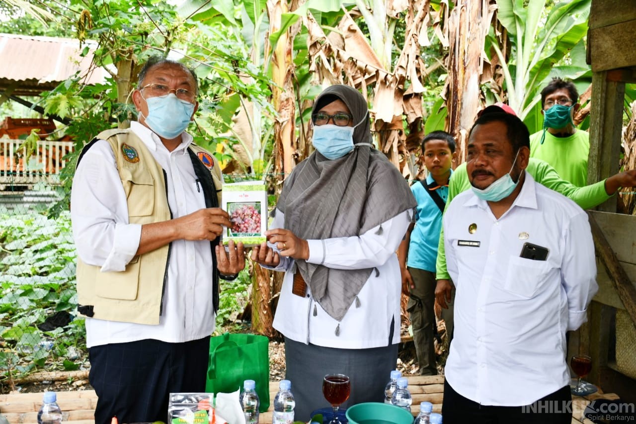 Bupati Sergai Hadiri Panen Perdana Bawang Merah dan Pencanangan Agrowisata di  Dolok Masihul